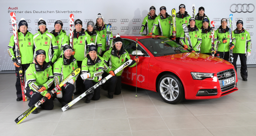 DSV-Team Alpin Herren 2013/2014